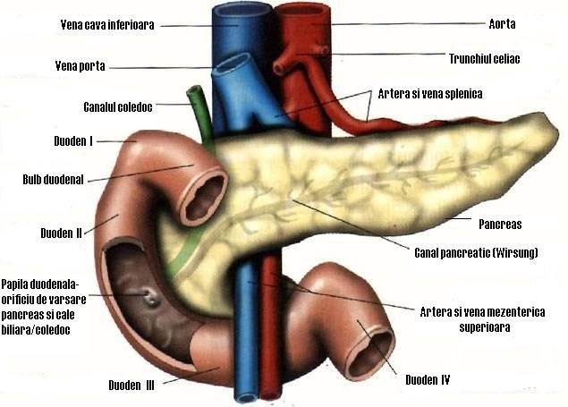 imagini inflamatia pancreasului